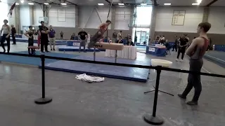 Tristen Nye 2024 Regional Pommel Horse