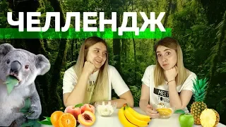 Телепатия Фруктовый Салат Челлендж | Vlada FM