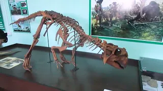 Деревня Шестаково. Музей динозавров.