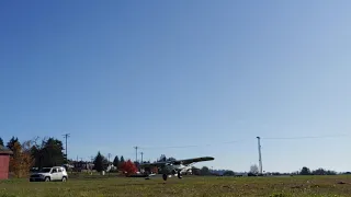 Xcub Hangar 9 landing