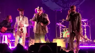 Elvis Costello + Preservation Hall Jazz Band: "Who's Gonna Help Brother Get Further" (5/6/2022)