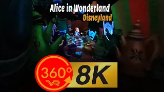 Alice in Wonderland Disneyland Ride: Whimsical 8K 360 VR Adventure with Spatial Audio!