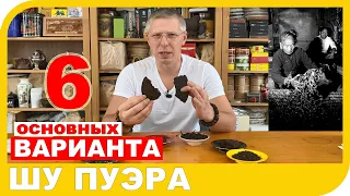 КАКИМ БЫВАЕТ ШУ ПУЭР?  6 основных вариантов производства чая.