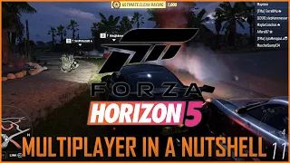 Forza Horizon 5 Multiplayer in a Nutshell