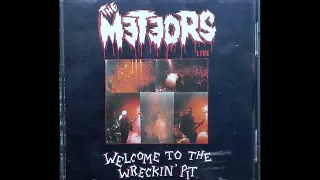 The Meteors - These Boots Were Made For Walking (live)