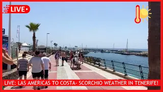 🔴LIVE: MELTING in Tenerife- Las Americas to Costa Adeje ☀️ Canary Islands Weather 2024