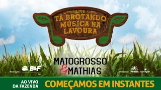 LIVE MATOGROSSO E MATHIAS - Tá Brotando Música na Lavoura #custumacomnoixx #befagro