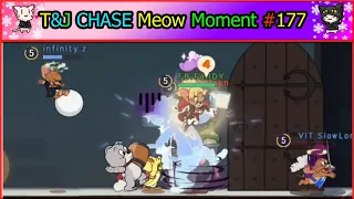 Tom And Jerry Chase | Meow Funny Moment EP#177