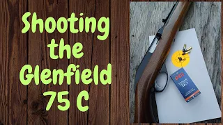 Shooting the Glenfield/Marlin model 75 C