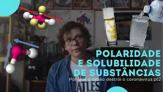 Polaridade e Solubilidade de Substâncias (por que o sabão destrói o coronavíris pt2)