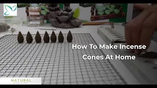 How To Make Backflow Incense Cone At Home - Step By Step