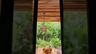 Una sala EN MEDIO DE LA SELVA! #shorts #ytshorts #homedecor #naturaleza #arquitectura