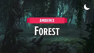 Forest (Night) | D&D/TTRPG Ambience | 1 Hour