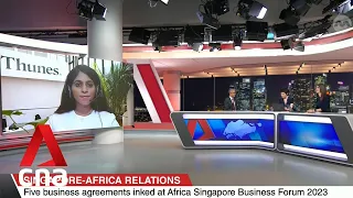 Opportunities abound for Singapore firms in Africa