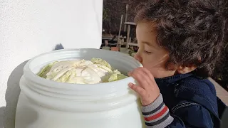 Sauerkraut - starting our whole head sour cabbage! Quick and easy recipe!