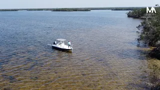 Fishing Mangrove Islands for Snook and Redfish (Inshore Slam)