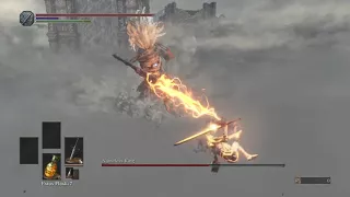 Nameless King vs. Astora Greatsword