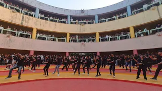 Raw Video of Dbatu Flashmob ✨