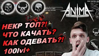 Anima ARPG Первый гайд на некроманта. Первый взгляд 100+ уровень. Что качать? Какие статы?