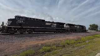 A Pair of NS Intermodal Stack Trains in Southern Illinois