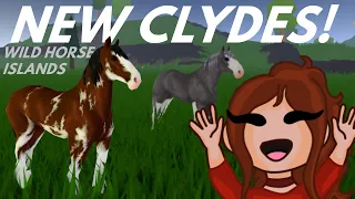 Catching the NEW V2 CLYDESDALE in WILD HORSE ISLANDS on ROBLOX (& A Giveaway!)