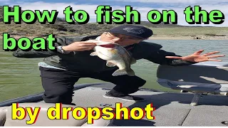fun bass fishing, how to fish on the boat and say Hi with kiss❗😂🤣 #bass #fishing #dropshot