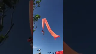Воздушный змей поднял девочку в воздух