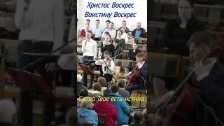🔥 Скрипичный ансамбль в Мерефе. 09 04 23.