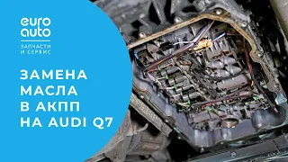 Замена масла в АКПП на Audi Q7: когда менять и как менять? ЕвроАвто