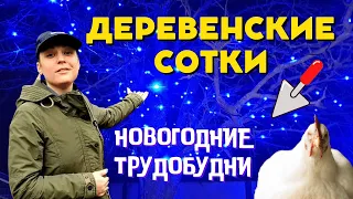 Предзабойный вес бройлеров. Новые птенцы. Пол и потолок в птичнике. Клетки для бройлеров.