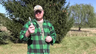 how to kill a skunk with no spraying
