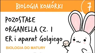 Cytologia 7 - Pozostałe organella cz.1: ER i aparat Golgiego - biologia rozszerzona matura liceum