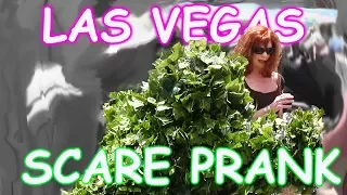 THE FUNNIEST BUSHMAN SCARE PRANKS EVER - The Las Vegas Bushman Prank - Episodes 5-8 FUNNY VIDEO