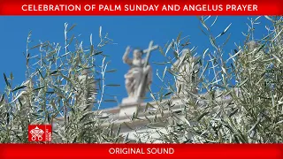 Celebrazione della Domenica delle Palme, Recita dell’Angelus, 24 marzo 2024 Papa Francesco