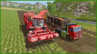 ФЕРМЕРУ ВЕРНУЛИ СТРАХОВКУ! СВЕКЛА ПОШЛА! - FARMING SIMULATOR 2017