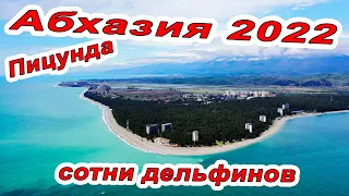 СОТНИ ДЕЛЬФИНОВ! #АБХАЗИЯ 2022 - ПИЦУНДА - РАЙСКОЕ МЕСТО НА ЧЁРНОМ МОРЕ