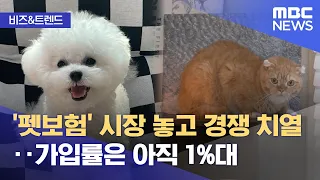 [비즈&트렌드] '펫보험' 시장 놓고 경쟁 치열‥가입률은 아직 1%대 (2024.05.06 /뉴스투데이/MBC)