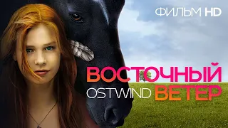 Восточный ветер /Ostwind/ Фильм HD