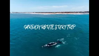 SURF TRIP // GARDEN ROUTE