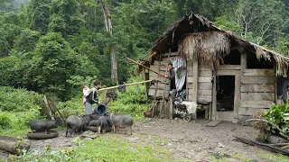 Restore a Single Mom Abandoned Farm: Clean up the garden | EP 01