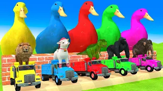 5 Giant Duck, Monkey, Piglet, chicken, dog, cat, lion, cow, Sheep, Transfiguration funny animal 2024