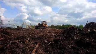 They dug up fat places near the plant. I'm digging in hot pursuit.