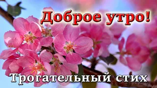 ❤Доброе утро! Стих до слез. Дедушка и внук. Христианские стихи. Смысл жизни.