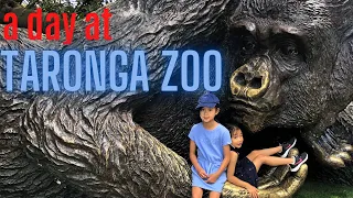 A day at Taronga Zoo, Sydney Australia