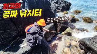 믿기지가 안네요! 구멍치기로 처음 잡았습니다! 이런 고급 샌선을 잡을 줄이야! 대박입니다