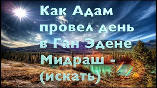 Берешит: Как Адам провел день в Ган Эдене (в Райском Саду) МИДРАШ РАССКАЗЫВАЕТ КАББАЛА ИУДАИЗМ