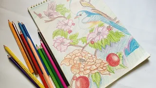 Colorful Serenity l Sketch Book Art l @ noman'sdrawing