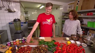 Jak sklízet a zpracovávat chilli papričky