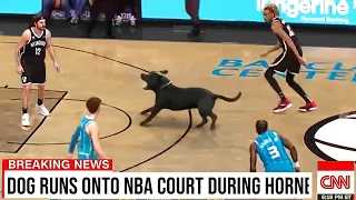 Ridiculous NBA Moments..