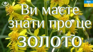 Ви маєте знати про це ЗОЛОТО!!!